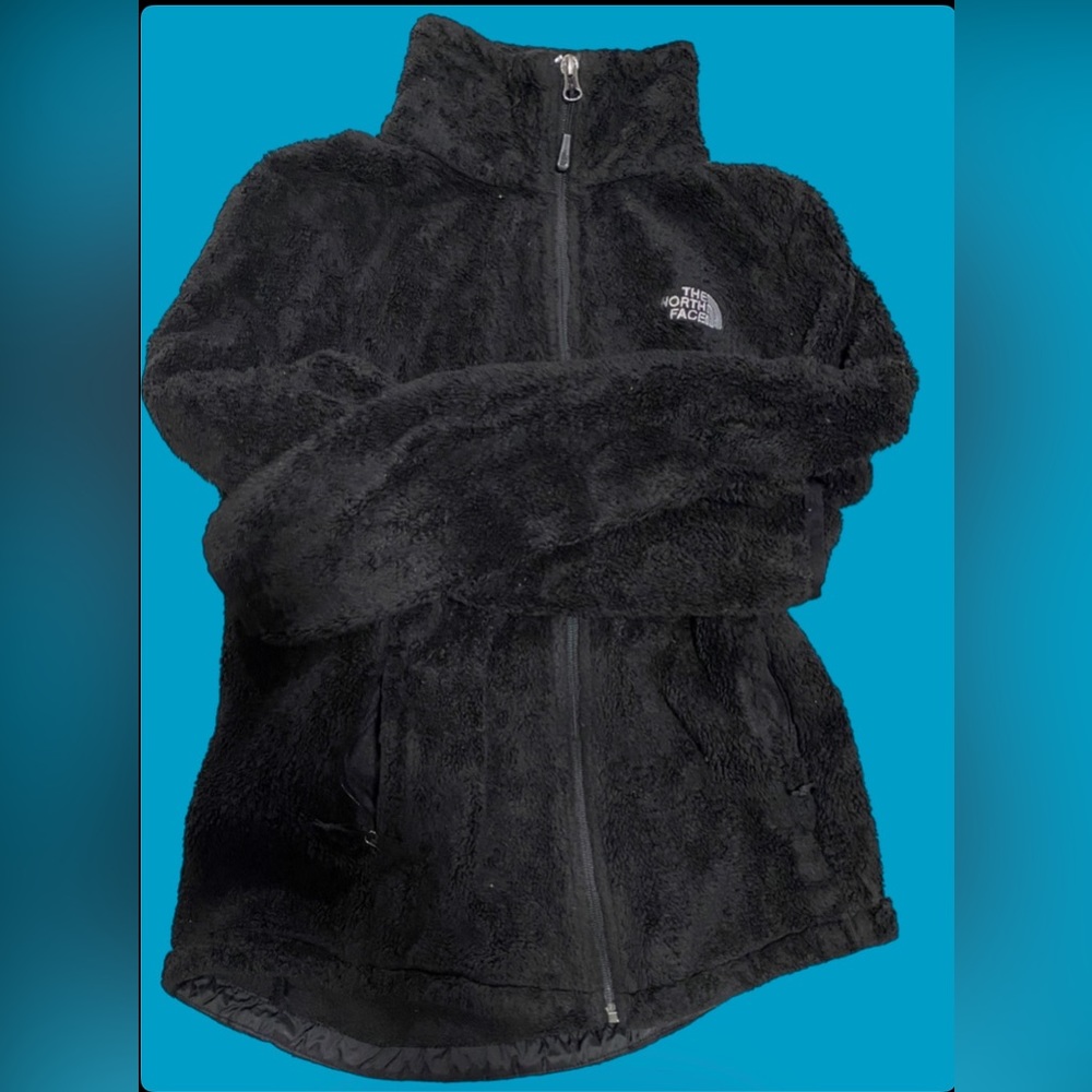 The north face jacket